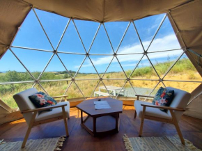 Waipu Eco Coastal Glamping Geodesic Dome